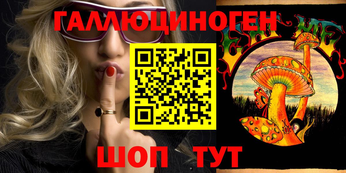 Псилоцибиновые грибы Psilocybine cubensis Тайшет