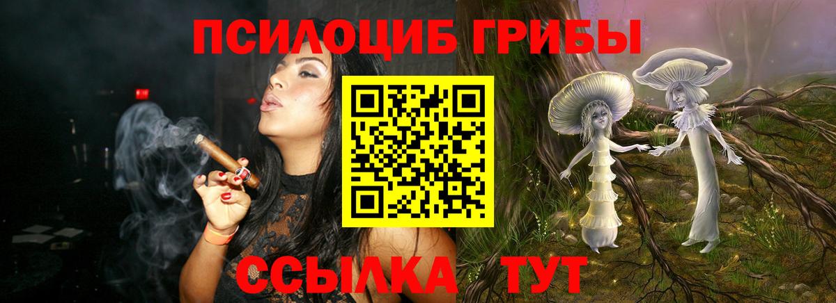 Псилоцибиновые грибы мухоморы  Вход с VPN  как найти   Тайшет  Псилоцибиновые грибы Magic Shrooms 